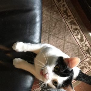 Meet your Posher, Jacob